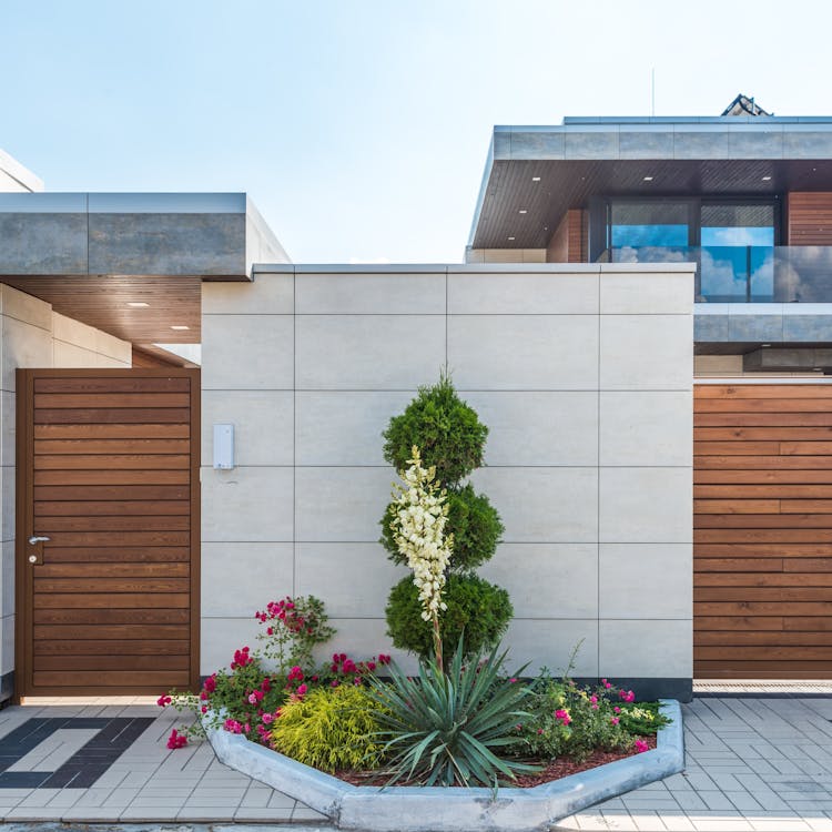 pexels-photo-8134817-2